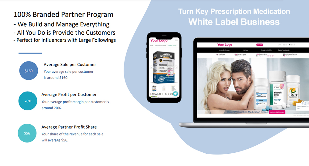 partner-program partner program infographic